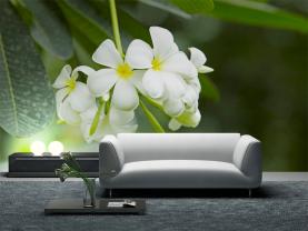 Blomster