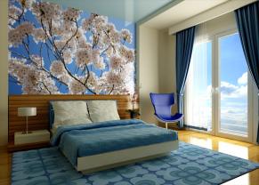 Wall Murals - Cherry Blossoms