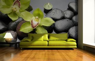 Piedra Zen & Orquídeas