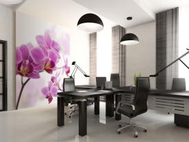 Orchidee