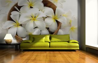Plumeria