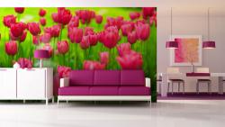 Pink Tulips Garden