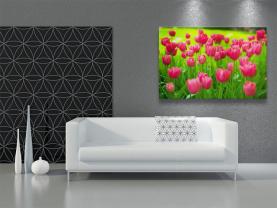 Murais de Parede - Tulipas Jardim