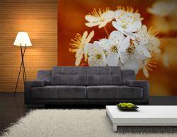Cherry Flowers