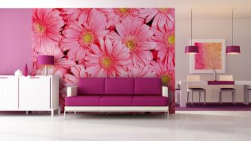 Gerbera
