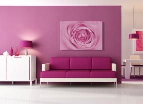 Fototapeter - Rose