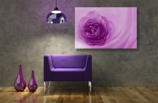 Papier Peint Photo - Fleur Violet