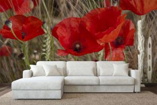 Amapolas