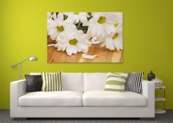 Wall Murals - White Gerbera