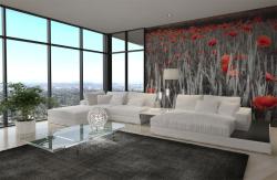 Poppies
