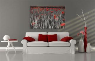 Fototapeten - Mohn