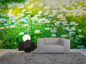 Gåseurt Blomst