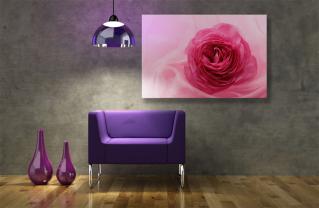 Papier Peint Photo - Rose