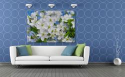 Fotomurali - Fiori di Ciliegio