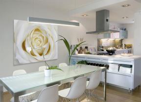Wall Murals - White Rose