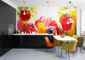 Tulipaner