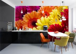 Gerbera