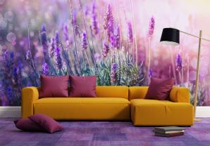 Fiori Lavanda