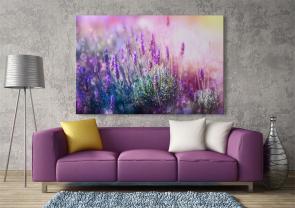 Fototapet - Lavendelblomster