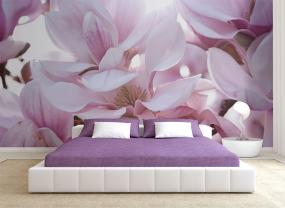 Magnolien-Blume