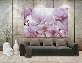 Murais de Parede - Flor Magnolia