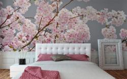 Cherry Blossoms