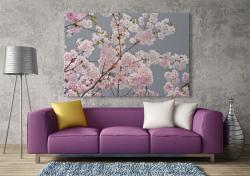 Fotomurali - Fiori di Ciliegio