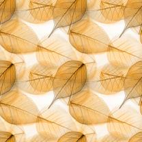 Papier Peint Photo - Feuilles d'automne