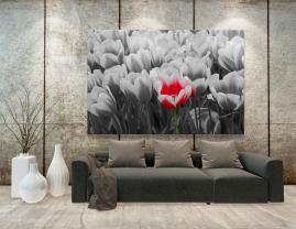 Wall Murals - Tulips