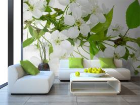 Fiori Albero di Mele