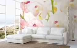 Orchids