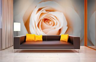 Bloemen Roos