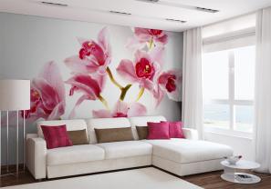 Orchidee