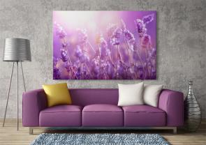 Fotomurales - Flores Violeta
