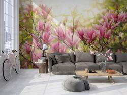 Magnolia Flower