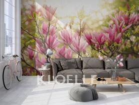 Magnolia Blomster