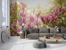 Flor Magnolia