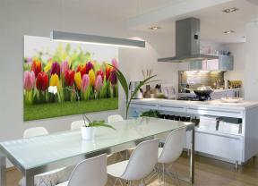 Wall Murals - Tulips Garden