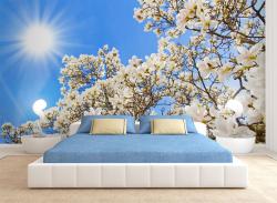 Wall Murals - Magnolia Flowers