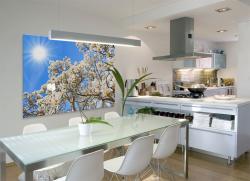 Wall Murals - Magnolia Flowers