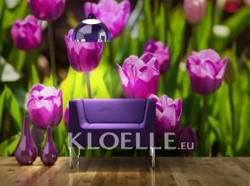 Tulipaner