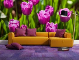Fototapet - Tulipaner