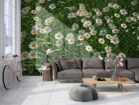 Gåseurt Blomst