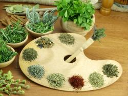 Wall Murals - Herbs & Spices