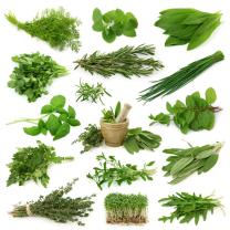 Fototapeter - Aromatiska Örter