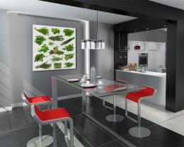 Aromatische Kruiden