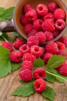 Fototapeten - Himbeeren