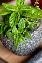 Papier Peint Photo - Herbes Aromatiques