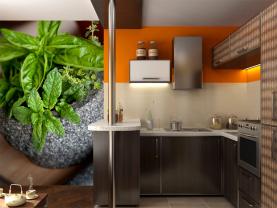 Papier Peint Photo - Herbes Aromatiques
