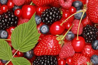 Wall Murals - Berries